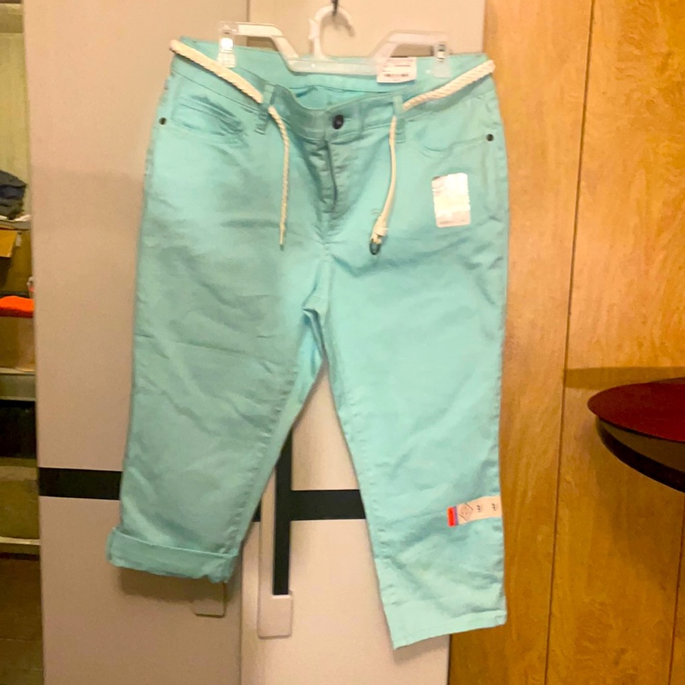 NEVER WORN mint green Capri pants